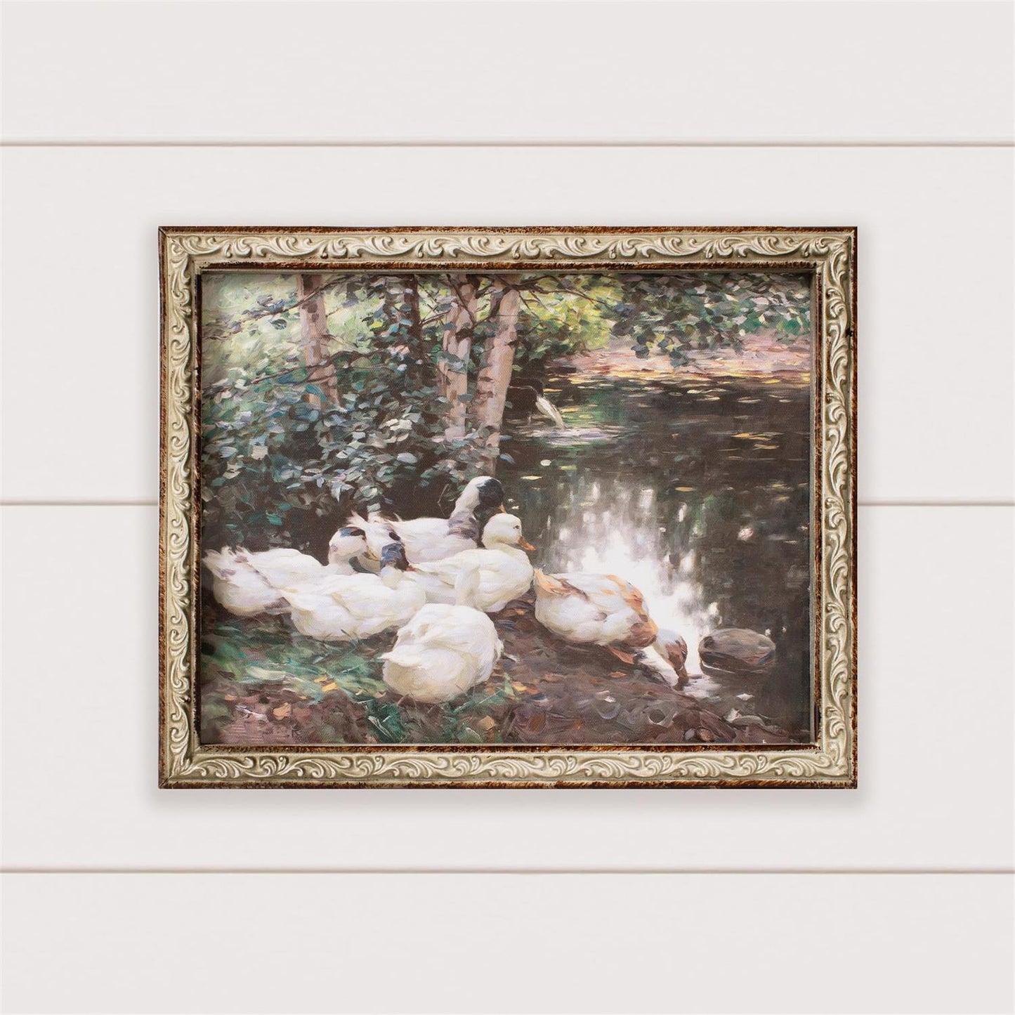 Ducks on the Shore Framed Print