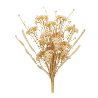 Floral Bush
