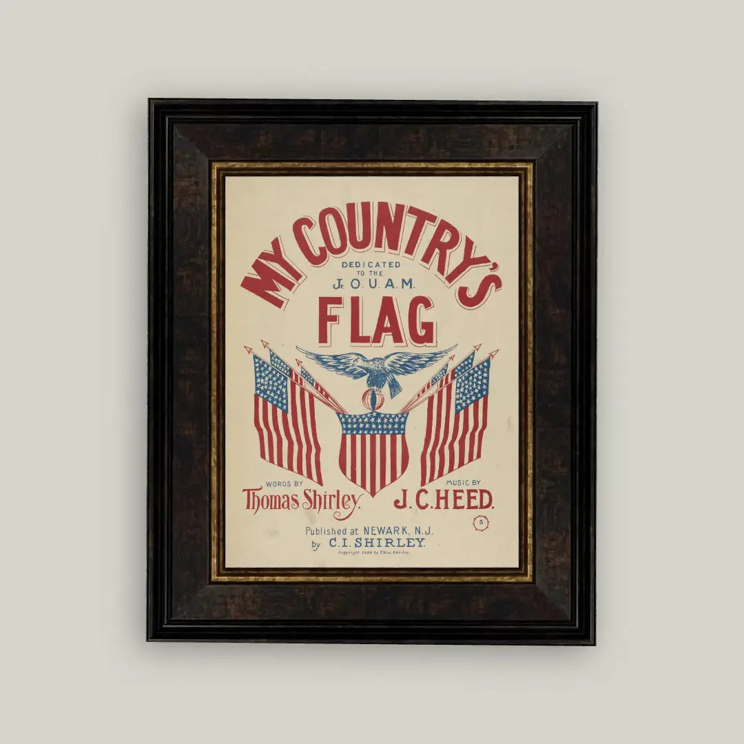 My Country's Flag