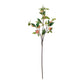 Peach Branch