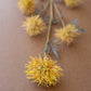 Yellow Flower Spray
