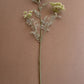 Lace Flower Spray