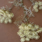 Lace Flower Spray
