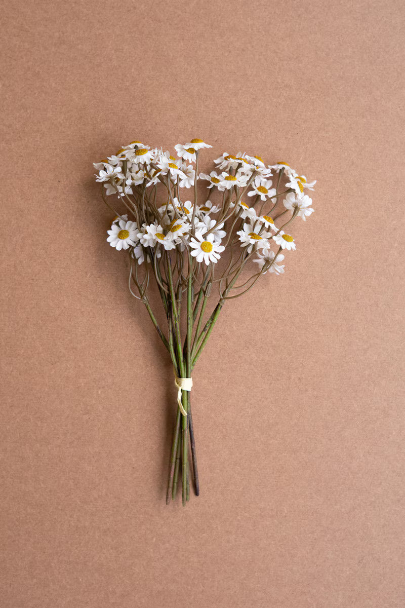White Chamomile Bundle