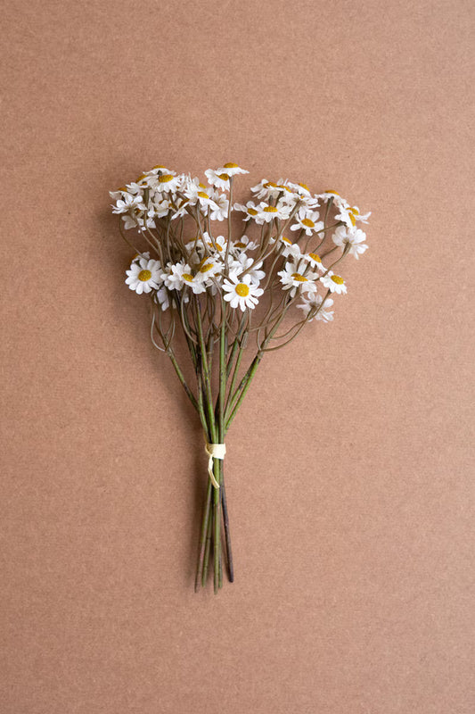 White Chamomile Bundle