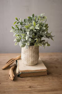 Artificial Sage with Crisscross Rustic White Pot