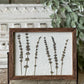Meadow Glade Frame