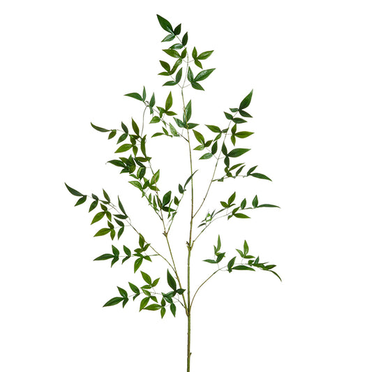 Green Leaf Branch