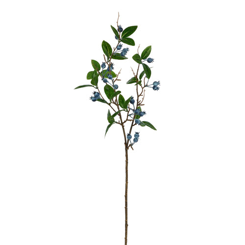 Blueberry Spray