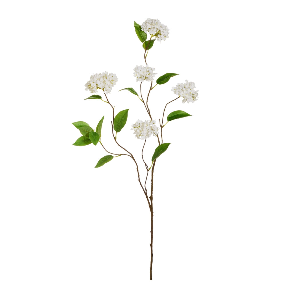 White Snowball Hydrangea Branch