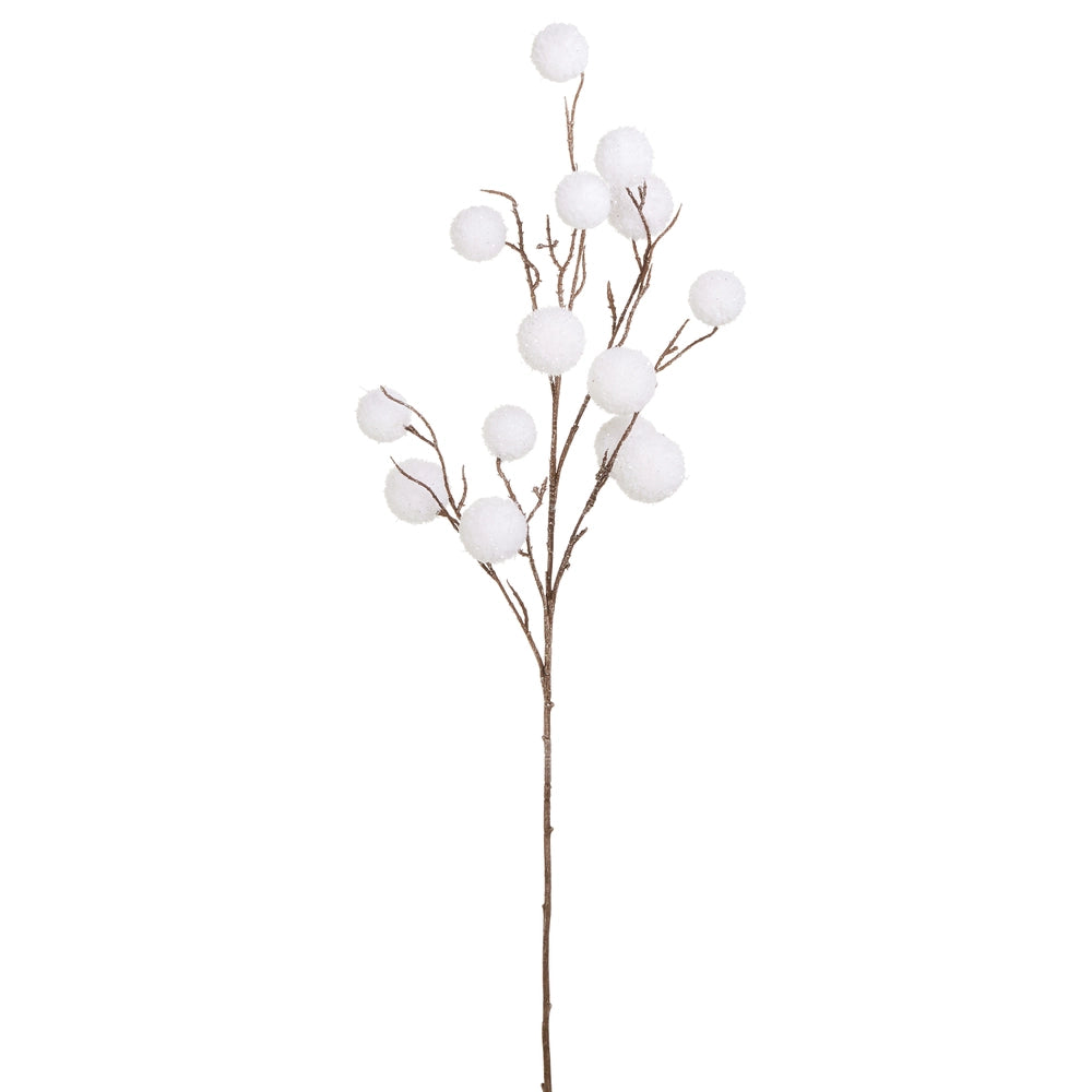 Snowball Branch