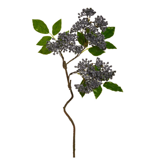 Berry Branch