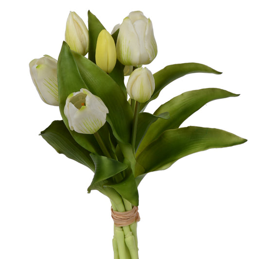 Cream Tulip Bouquet