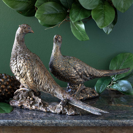 Bronze Pheasants