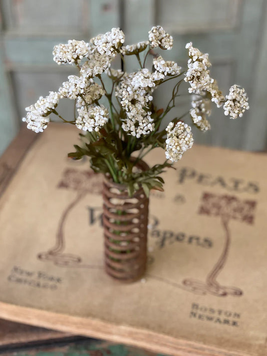Fennel Flower Bundle