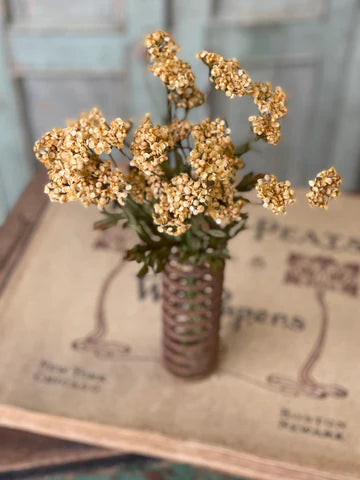 Mustard Fennel Flower Bundle