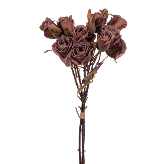 Light Orange Rose Bundle