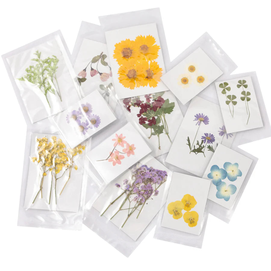 Pressed Botanical Collection