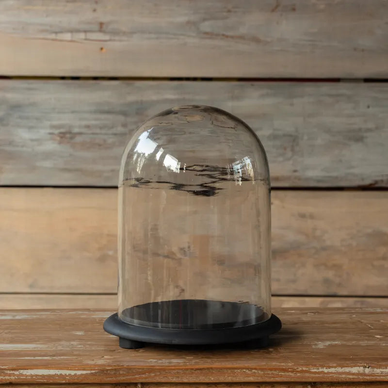 Vintage Style Glass Dome with Base