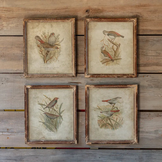 Birds In The Field Prints