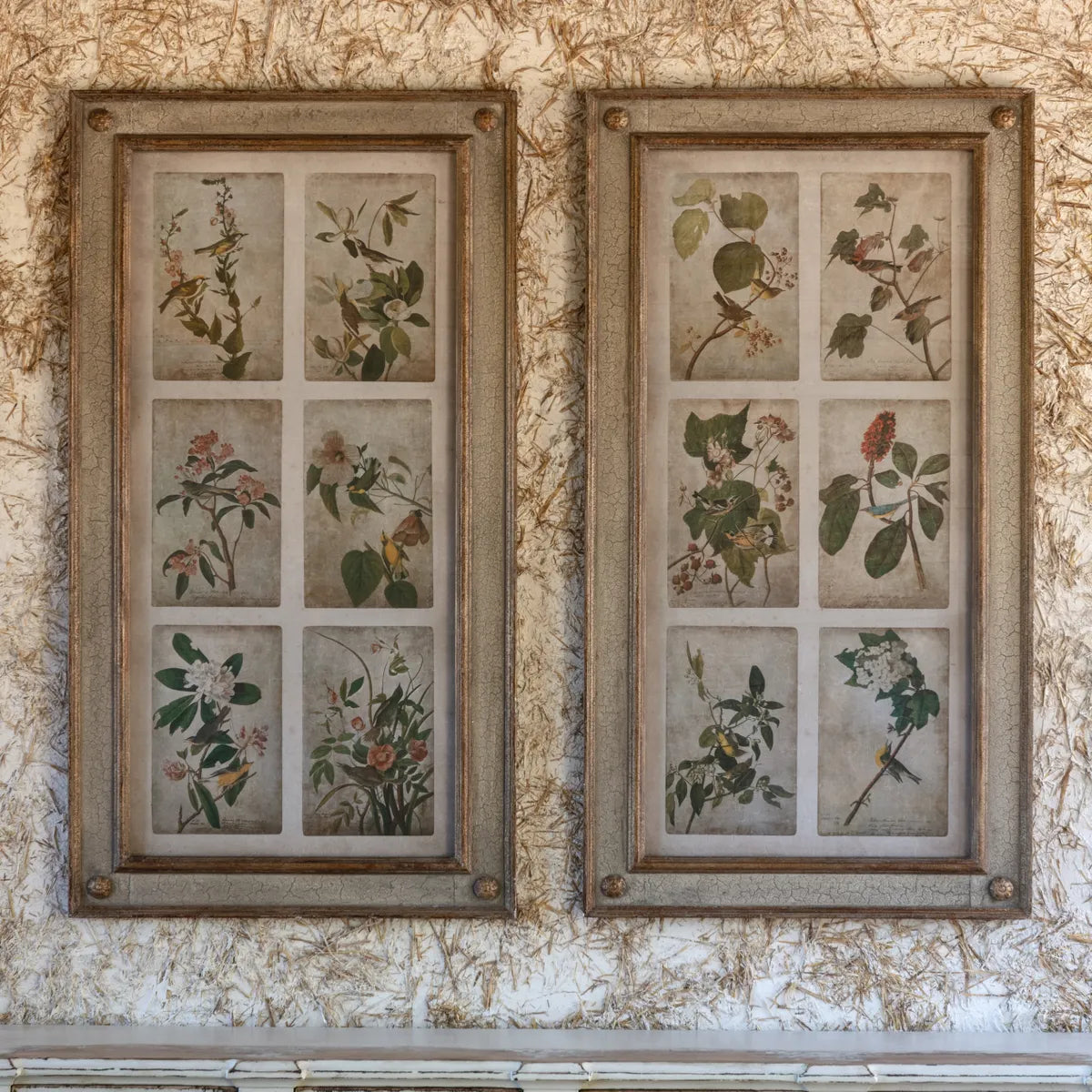 Large Framed Bird and Floral Aged Print Collection