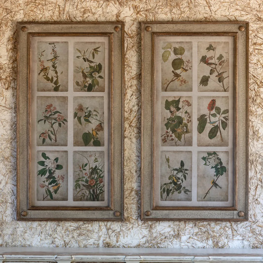 Large Framed Bird and Floral Aged Print Collection