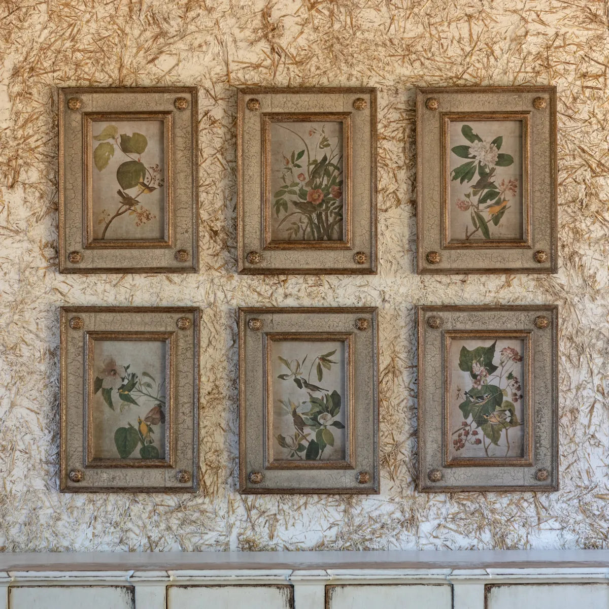 Framed Bird and Floral Aged Print Collection