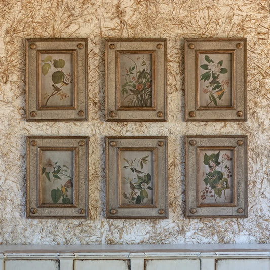 Framed Bird and Floral Aged Print Collection