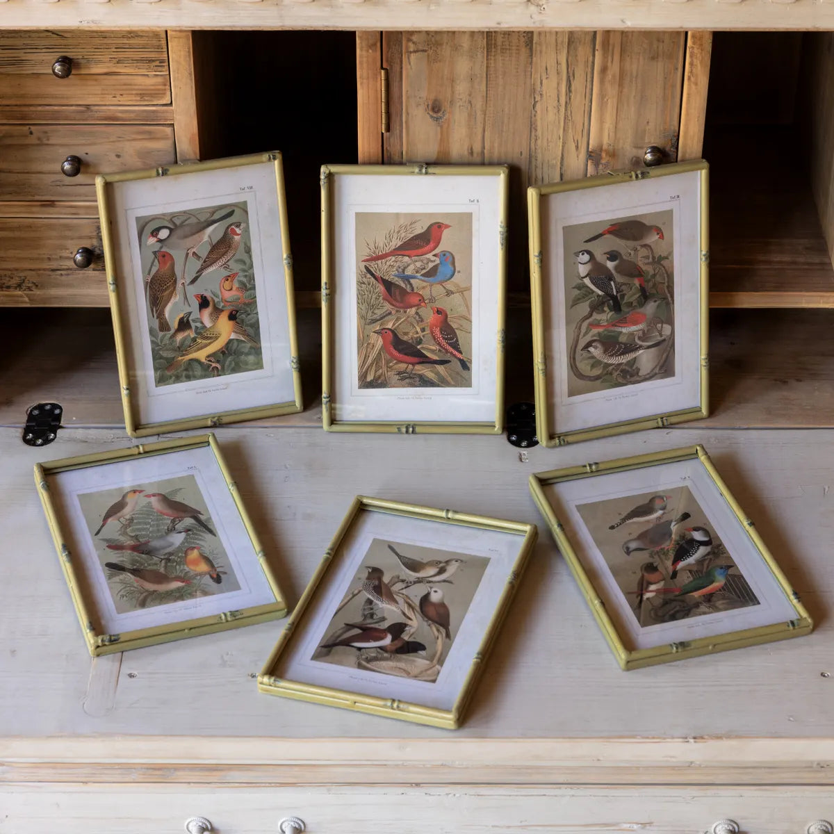 Song Bird Print With Bamboo Frame