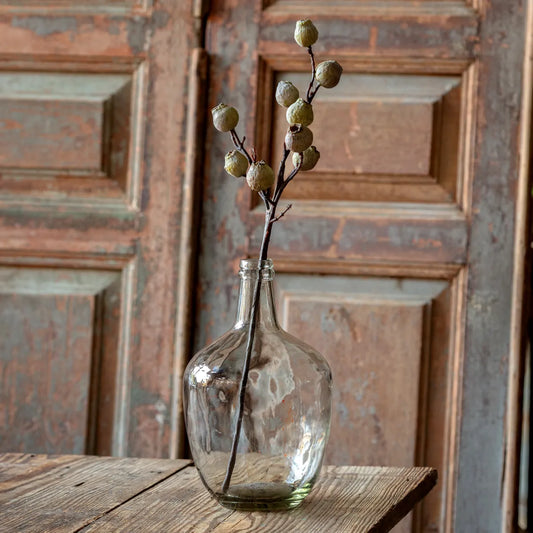 Eucalyptus Pod Spray