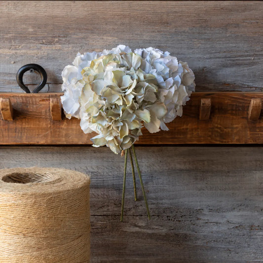 Hydrangea Bundle, Sky Blue-Late Season Blue