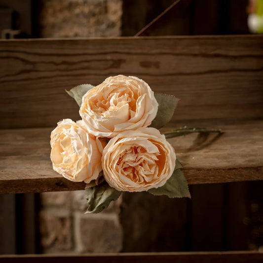 English Rose Cream Bouquet