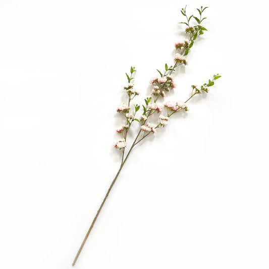 Blush Cherry Blossom