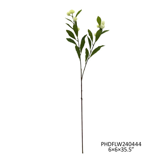 Button Bush Stem