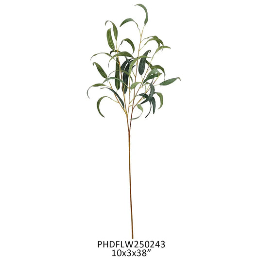 Guadalupe Grove Eucalyptus Stem