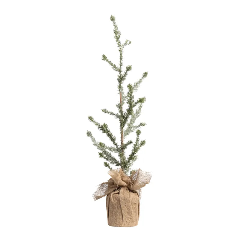 Iced Alpine Tree