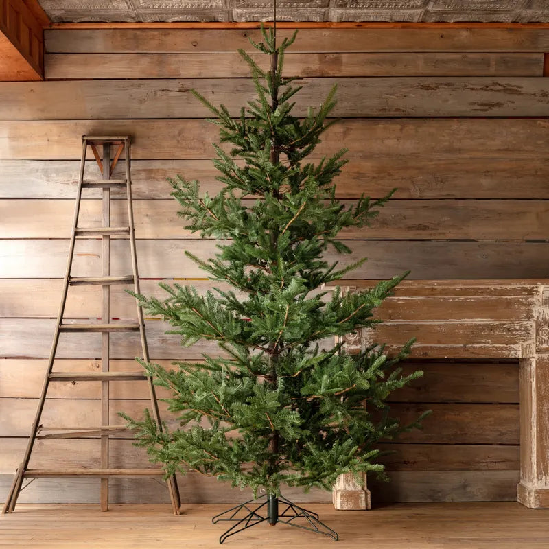 Noble Fir Tree 10'