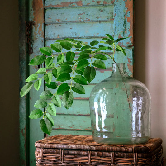 Arabica Leaf Natural Touch Green