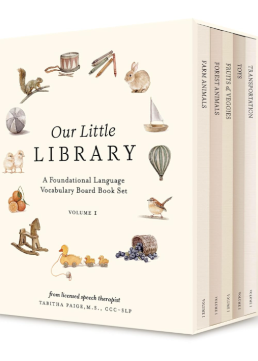 Our Little Library Book Set