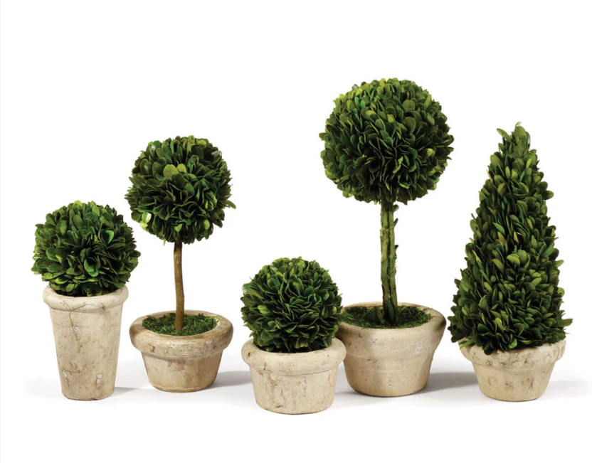 Topiaries Potted β Chic Artique