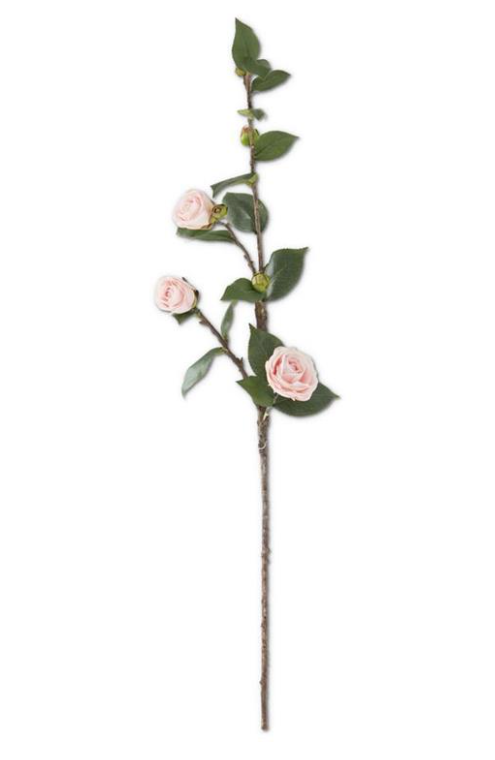 Pink Camellia Stem