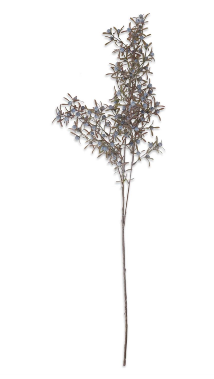 Blue Berry Spray
