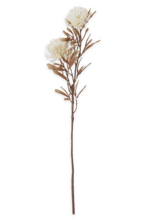 White Spikey Cactus Dahlia Stem