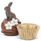 Chocolate Bunny Cupcake Container
