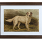 Heritage Hounds Framed Dog Wall Art