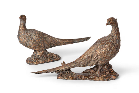 Bronze Pheasants