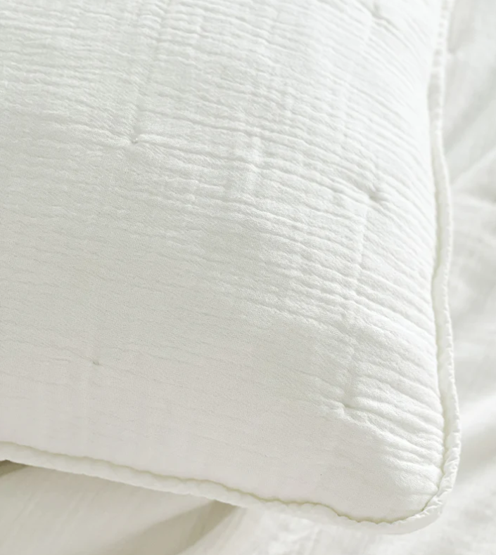 White Cotton Gauze Down Euro Pillow