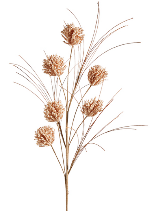 Dried Pom Pom Spray