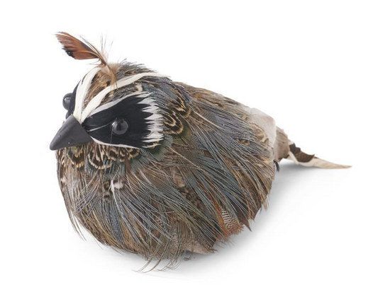 Feathered Quail