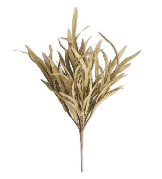 Green Eva Grass Bush